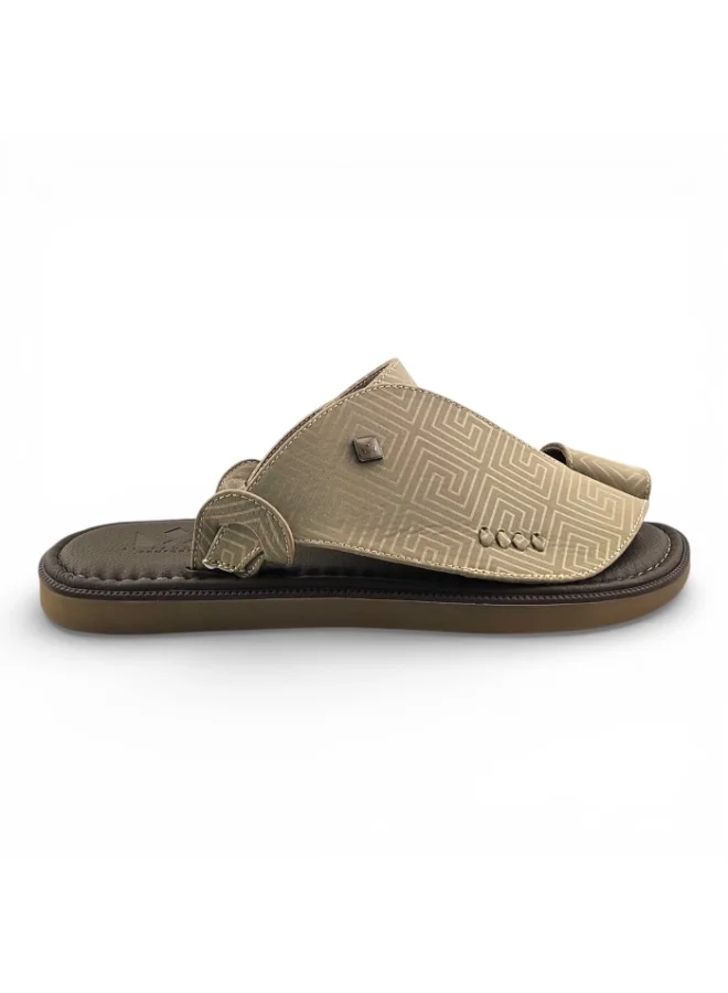 الفانوس الفانوس: سيغنتشر رويال